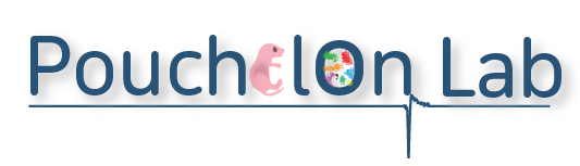 Pouchelon Lab